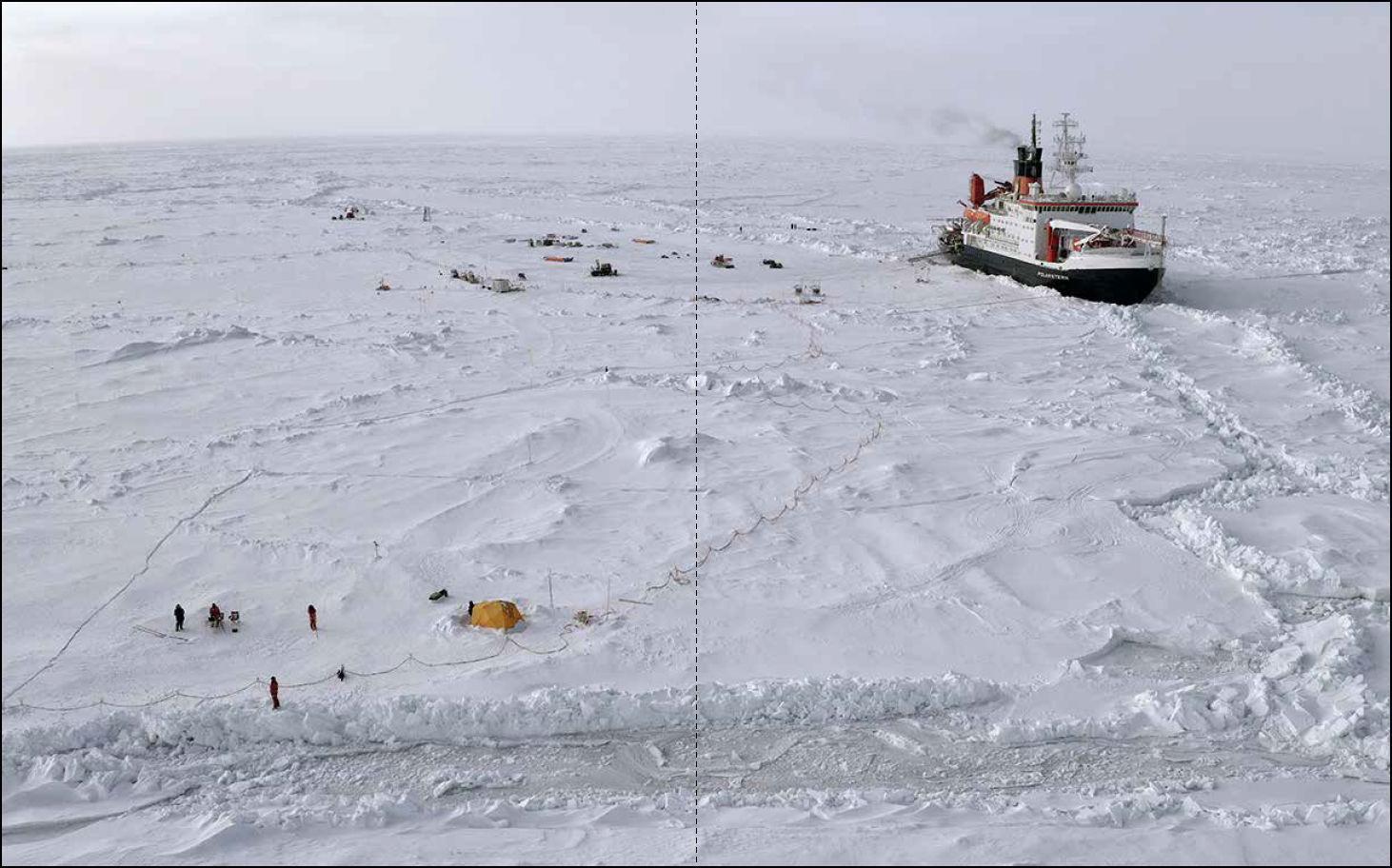Bild: 9783791386690 | Expedition Arktis | Esther Horvath (u. a.) | Buch | 288 S. | Deutsch