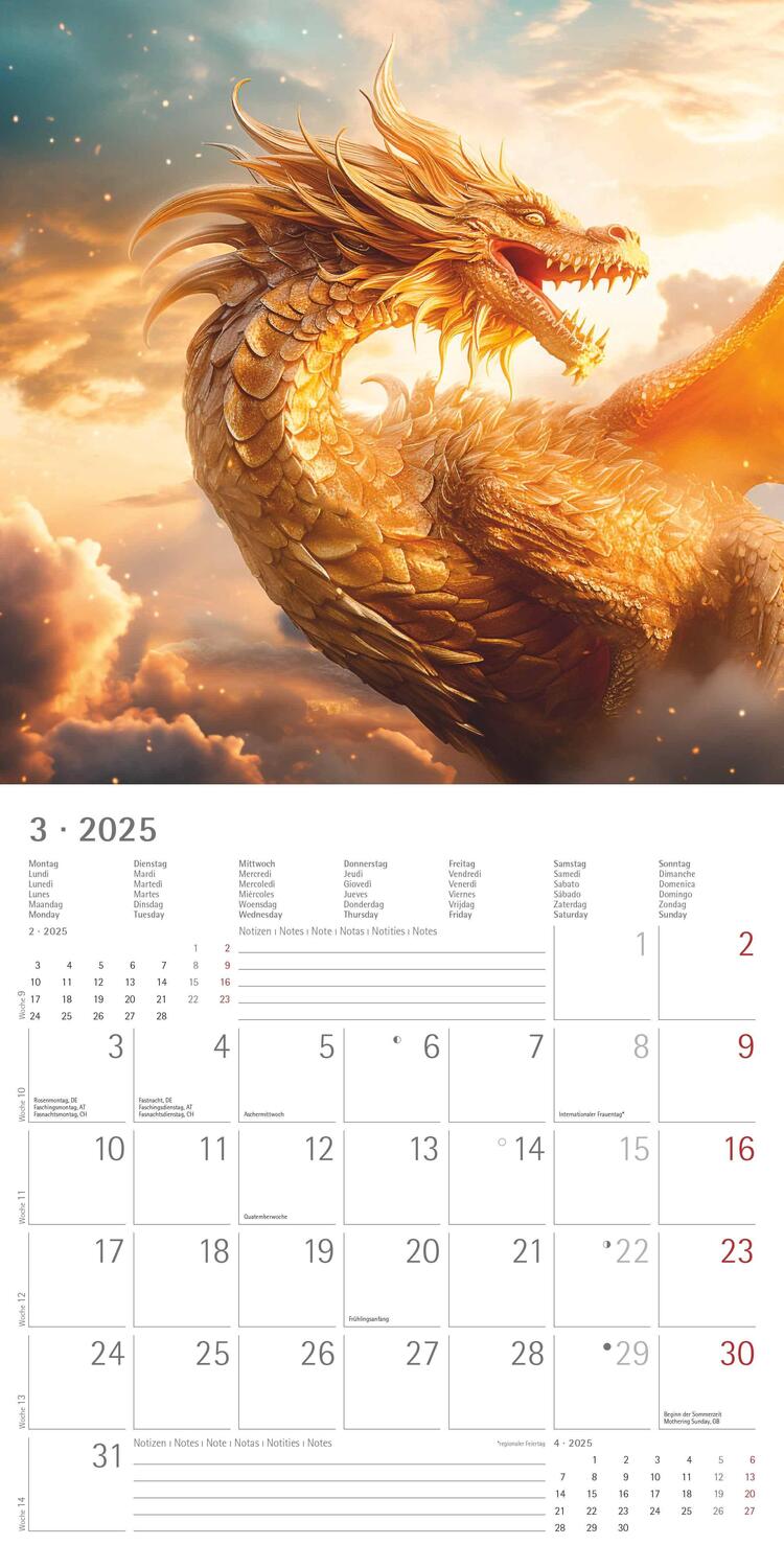 Bild: 4251732344320 | Drachen 2025 - Broschürenkalender 30x30 cm (30x60 geöffnet) -...