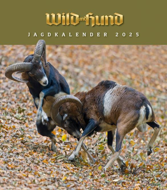 Cover: 9783897152823 | Jagdkalender Wandvariante 2025 | Wild und Hund - Wandkalender | HUND