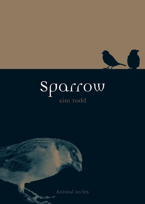 Cover: 9781861898753 | Sparrow | Kim Todd | Taschenbuch | Kartoniert / Broschiert | Englisch
