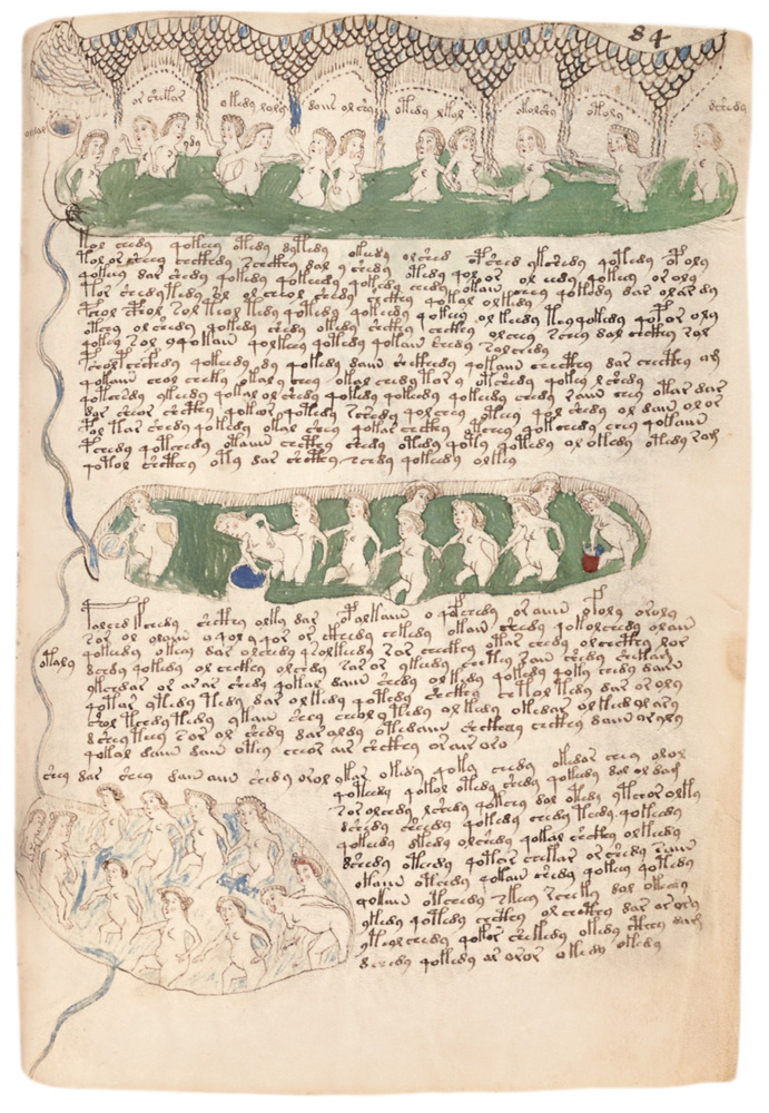 Bild: 9783968494081 | Das Voynich Manuskript | Buch | Deutsch | 2022 | Favoritenpresse
