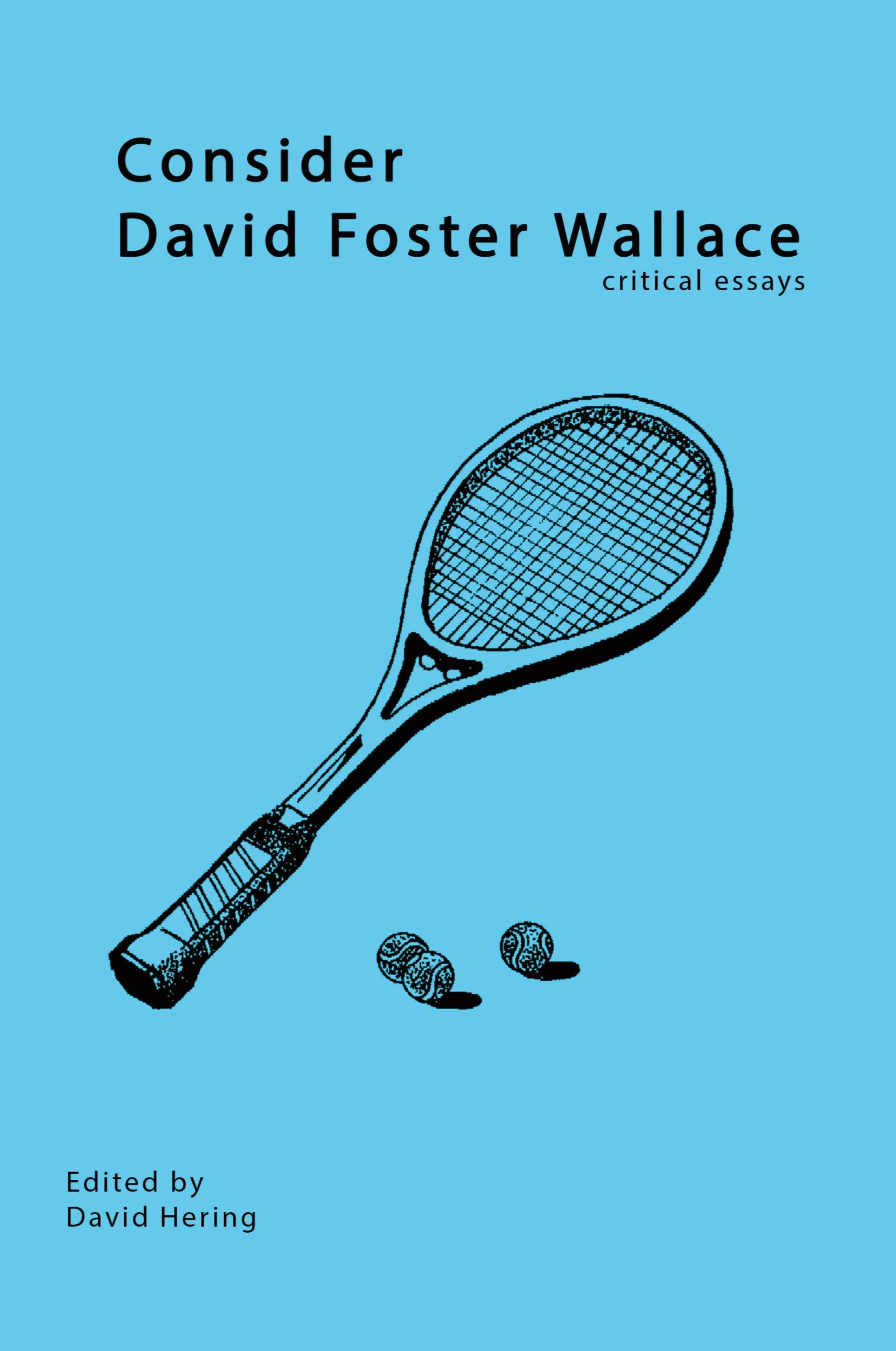 Cover: 9780976146575 | Consider David Foster Wallace | David Hering | Taschenbuch | Englisch