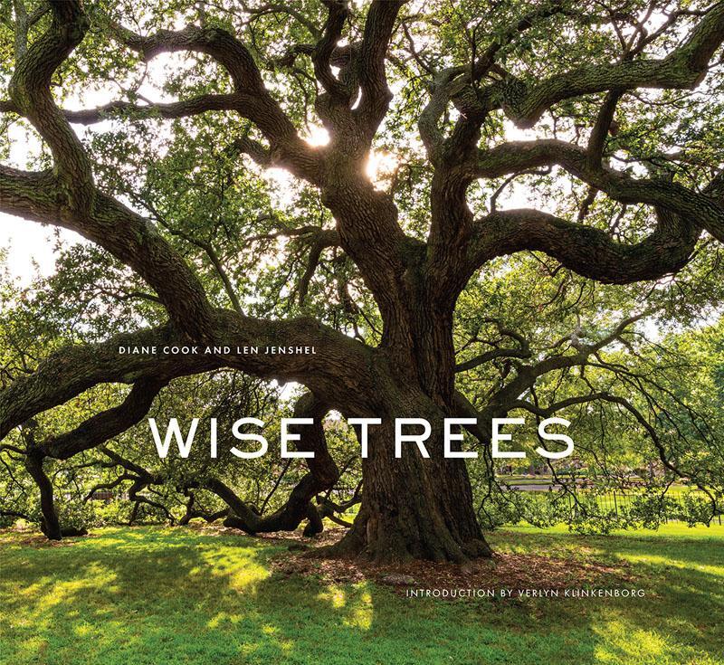 Cover: 9781419727009 | Wise Trees | Diane Cook (u. a.) | Buch | Englisch | 2017 | ABRAMS