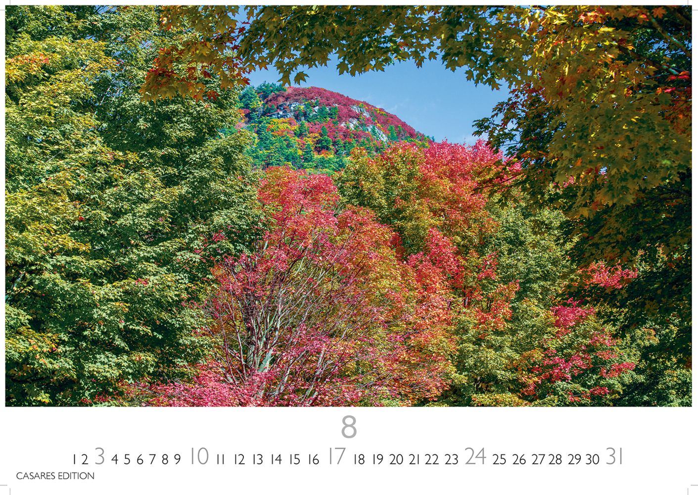 Bild: 9781835242810 | Indian Summer 2025 S 24x35cm | Kalender | 14 S. | Deutsch | 2025