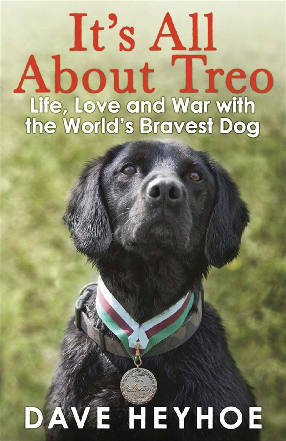Cover: 9781780873992 | It's All About Treo | Life and War with the World's Bravest Dog | Buch