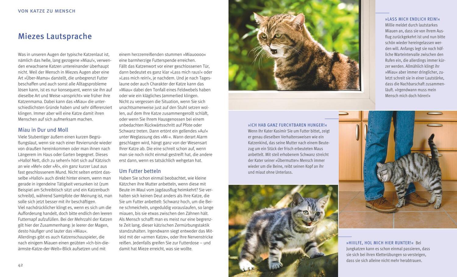 Bild: 9783833836350 | Katzensprache | Kätzisch für Zweibeiner | Helga Hofmann | Taschenbuch