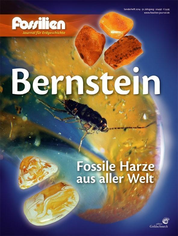 Cover: 9783494015835 | Bernstein | Fossile Harze aus aller Welt | Broschüre | Deutsch | 2014