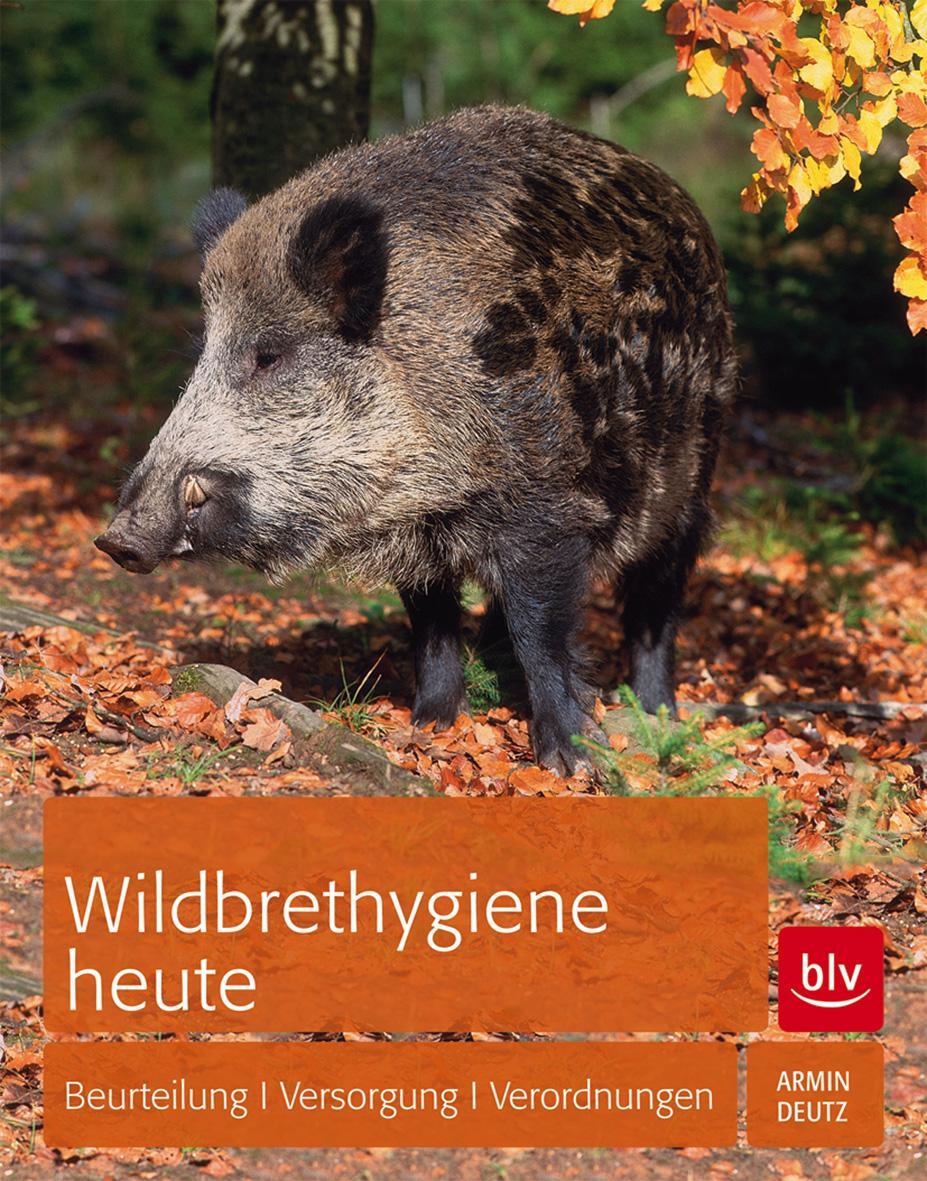 Cover: 9783835409897 | Wildbrethygiene heute | Beurteilung Versorgung Verordnungen | Deutz