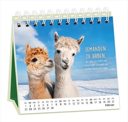 Bild: 9783986360948 | Tischkalender 2025 Happymacher | Tischkalender | Original | Kalender