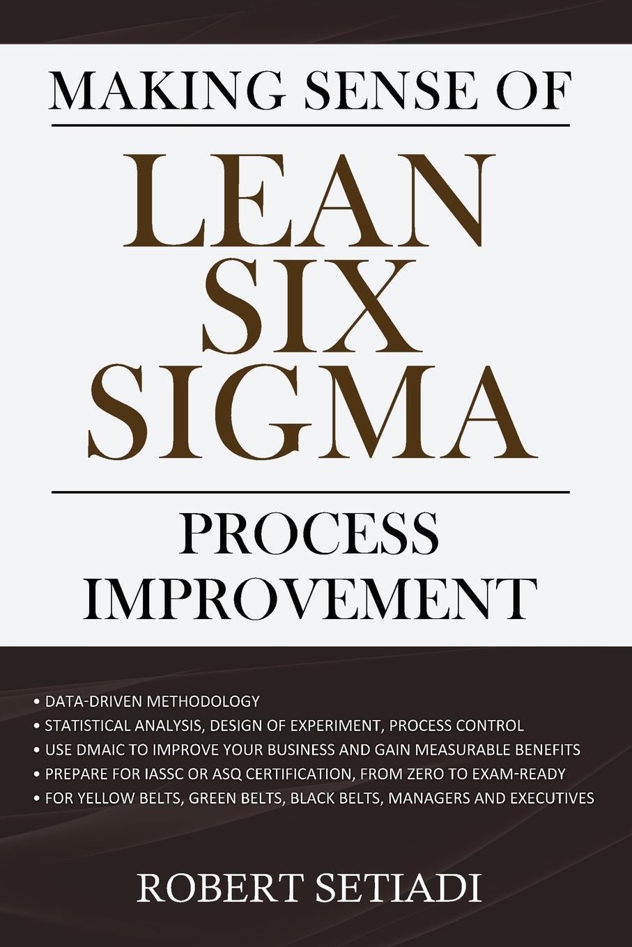 Cover: 9780648963608 | Making Sense of Lean Six Sigma Process Improvement | Robert Setiadi
