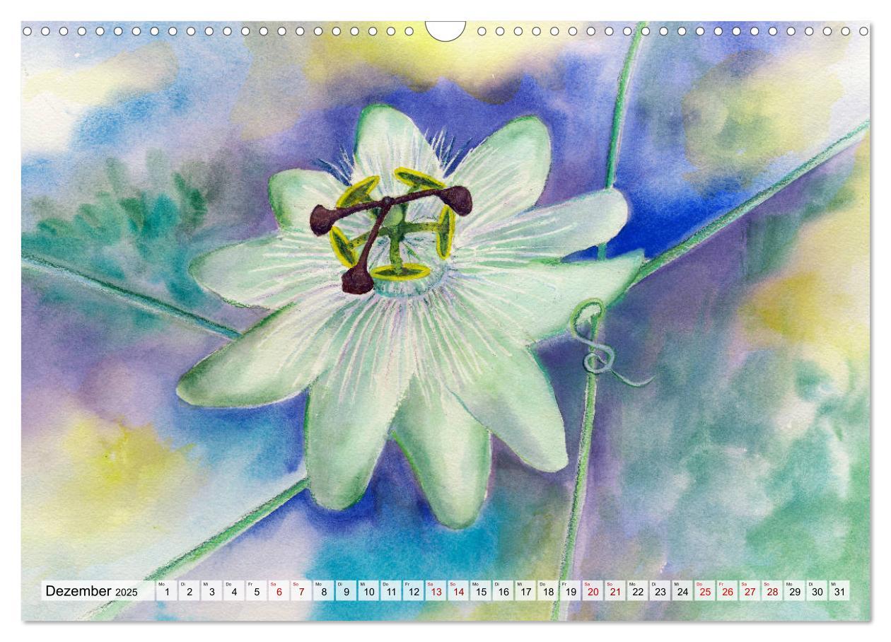 Bild: 9783435272969 | Blumenaquarelle aus der Nähe (Wandkalender 2025 DIN A3 quer),...