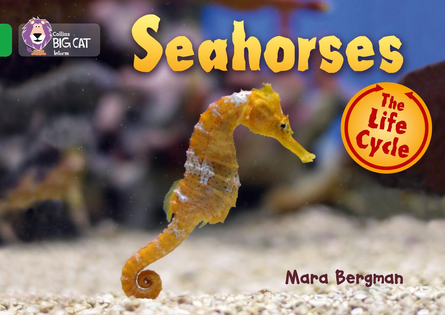 Cover: 9780007461912 | Seahorses | Band 05/Green | Mara Bergman | Taschenbuch | Englisch