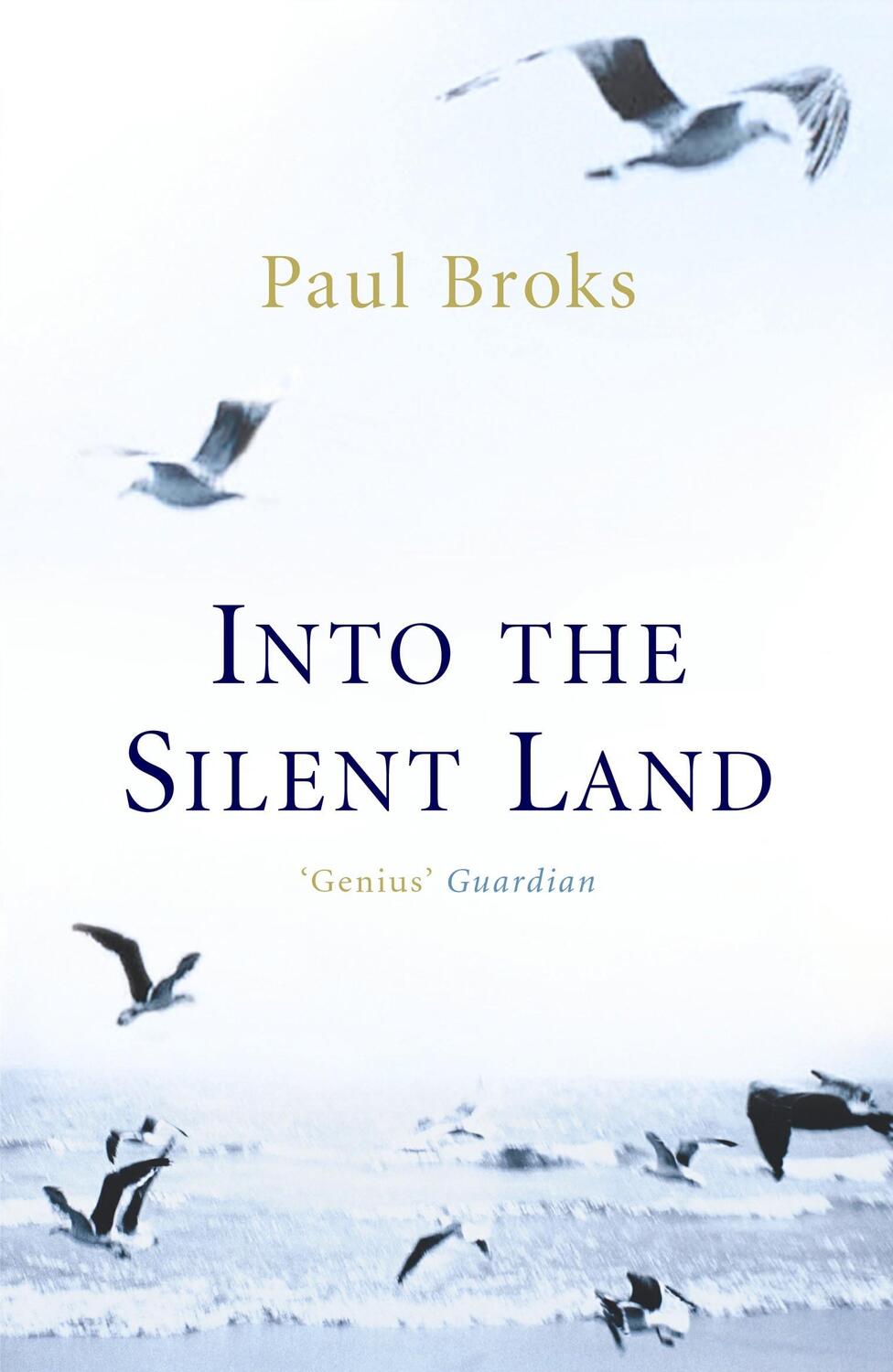 Cover: 9781843540342 | Into The Silent Land | Travels in Neuropsychology | Paul Broks | Buch