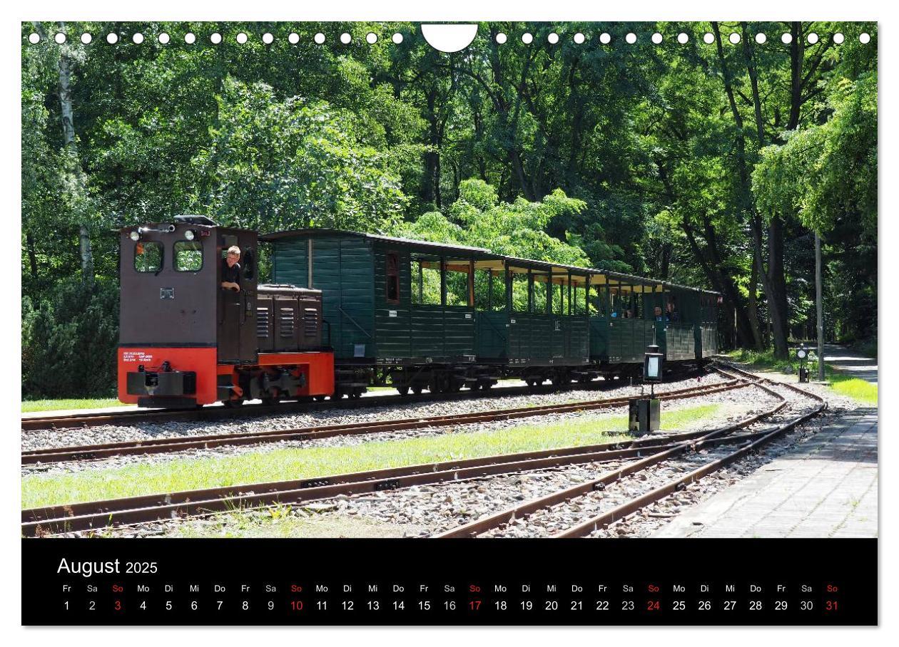 Bild: 9783435572823 | Waldeisenbahn Bad Muskau (Wandkalender 2025 DIN A4 quer), CALVENDO...