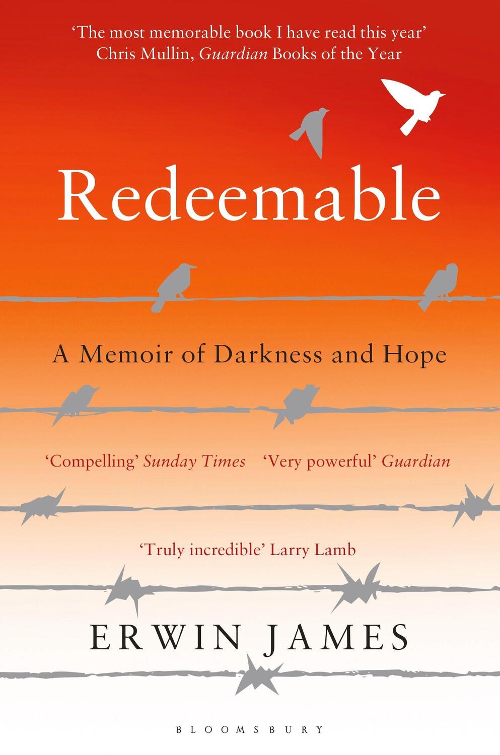 Cover: 9781408849323 | Redeemable | A Memoir of Darkness and Hope | Erwin James | Taschenbuch