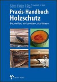 Cover: 9783481029906 | Praxis-Handbuch Holzschutz | Tobias Huckfeldt | Buch | Deutsch | 2014