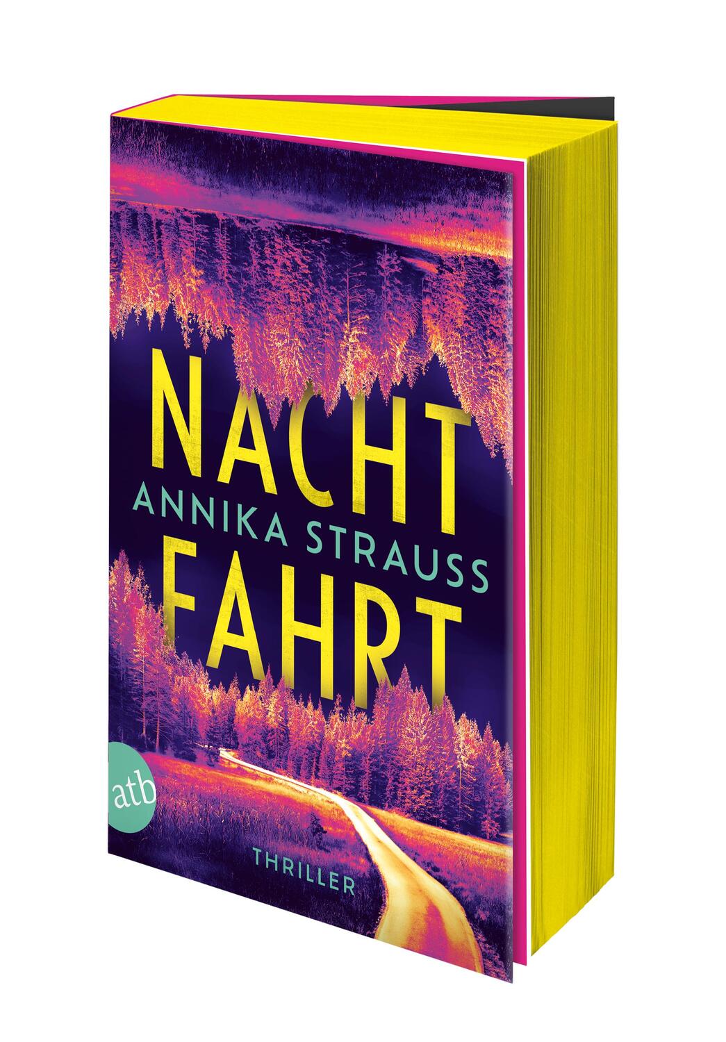 Bild: 9783746641621 | Nachtfahrt | Annika Strauss | Taschenbuch | 387 S. | Deutsch | 2024