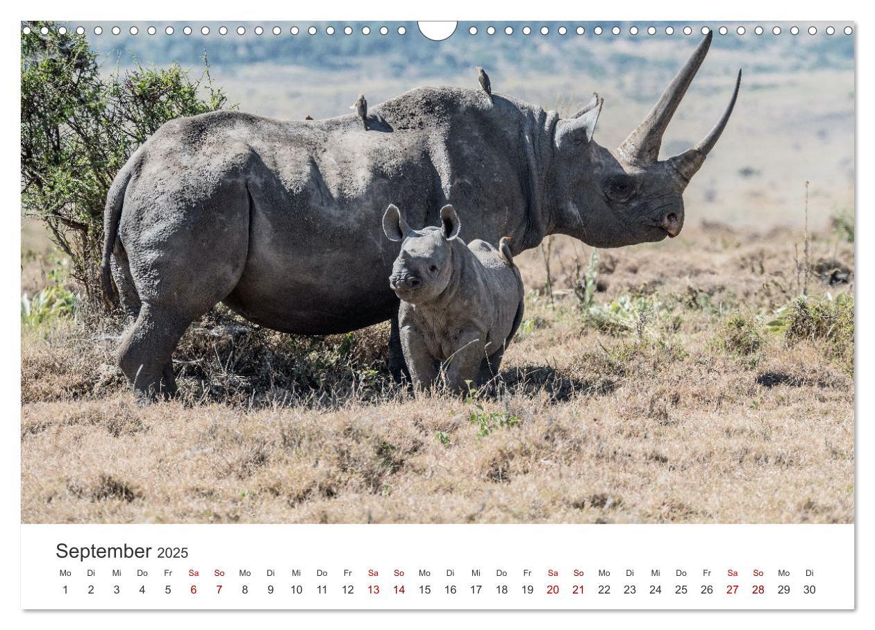 Bild: 9783435002733 | Kenia - Eine Safari durch unberührte Natur. (Wandkalender 2025 DIN...