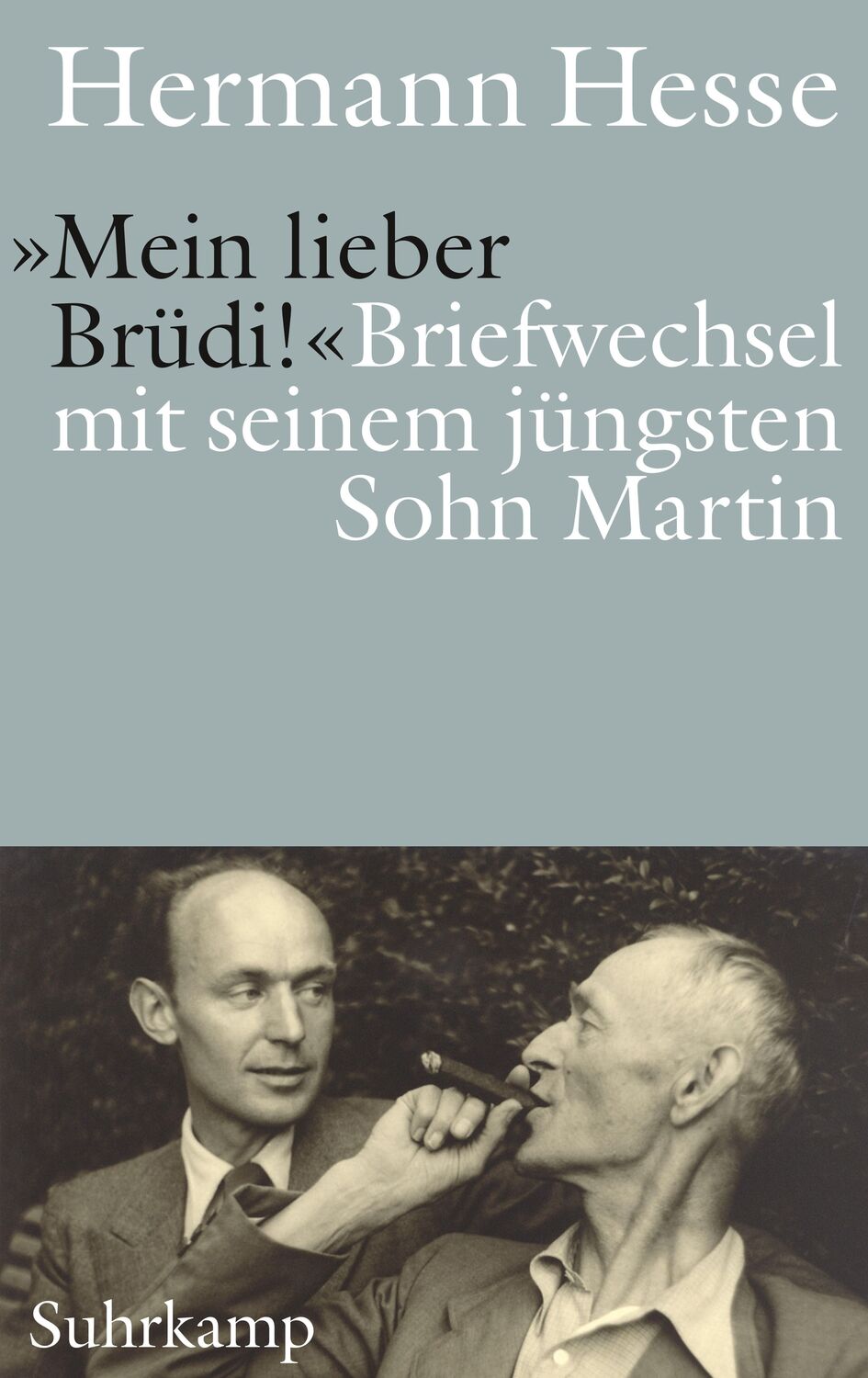 Cover: 9783518430842 | »Mein lieber Brüdi!« | Briefwechsel mit seinem jüngsten Sohn Martin