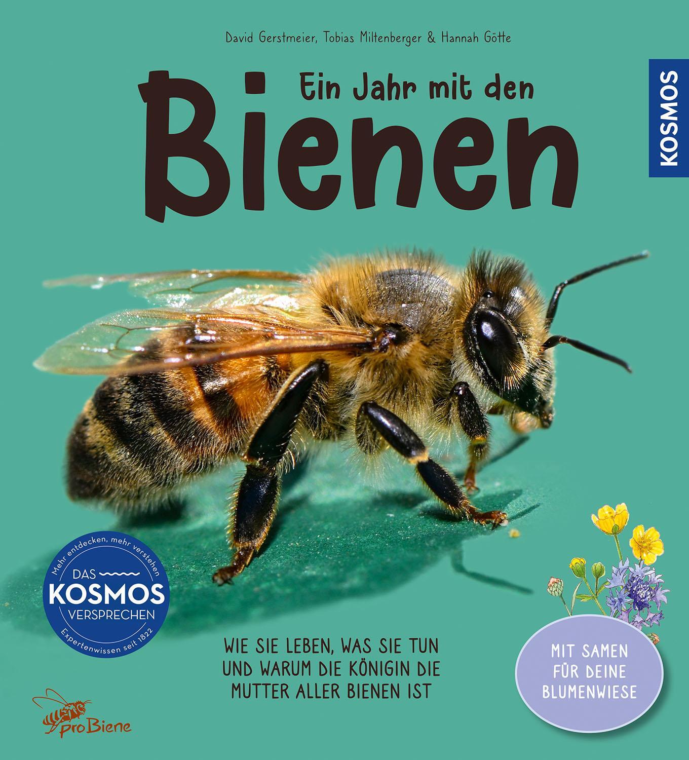 Cover: 9783440179376 | Ein Jahr mit den Bienen | Tobias Miltenberger (u. a.) | Buch | 72 S.