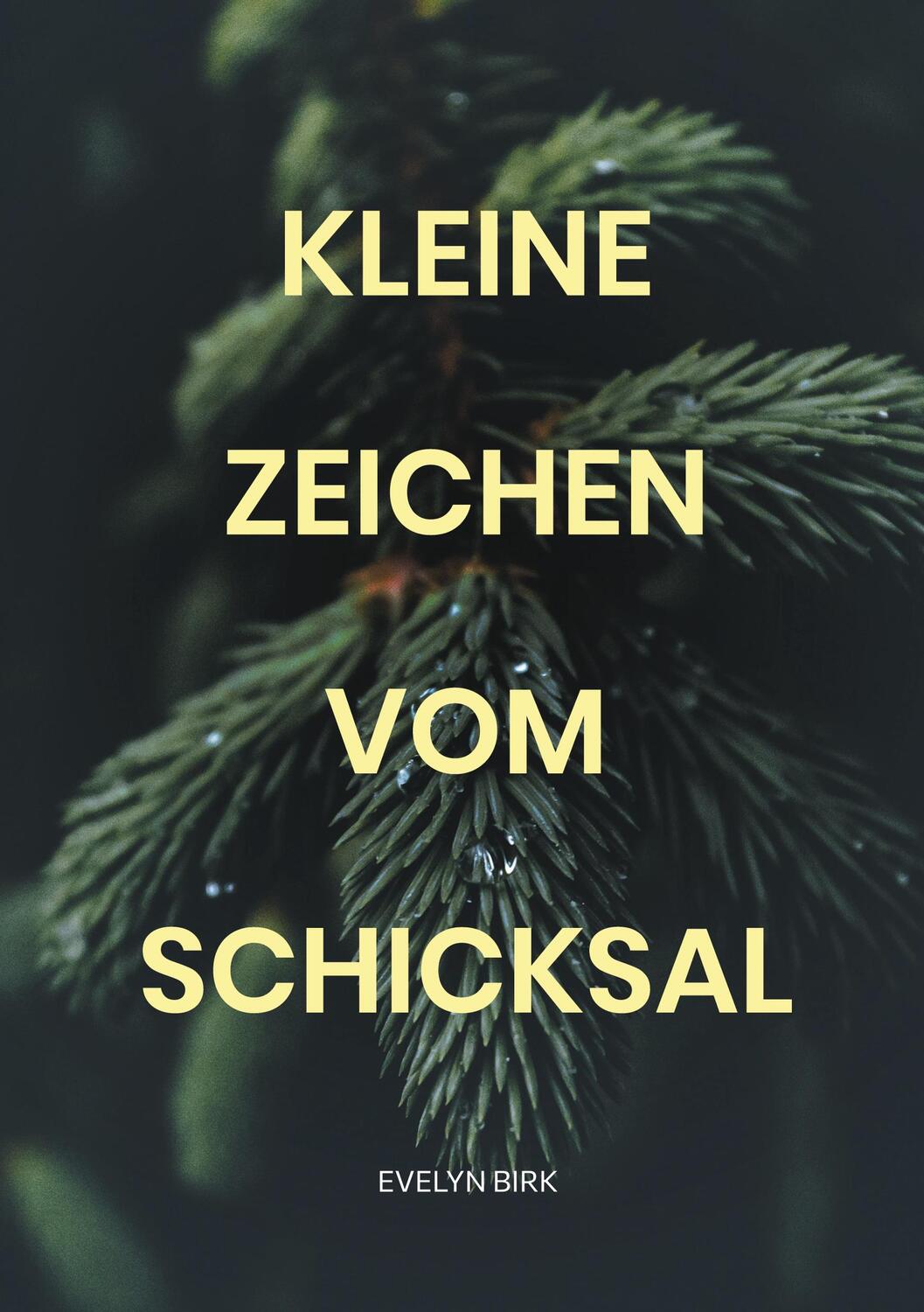 Cover: 9783758370236 | kleine Zeichen vom Schicksal | Evelyn Birk | Taschenbuch | Paperback