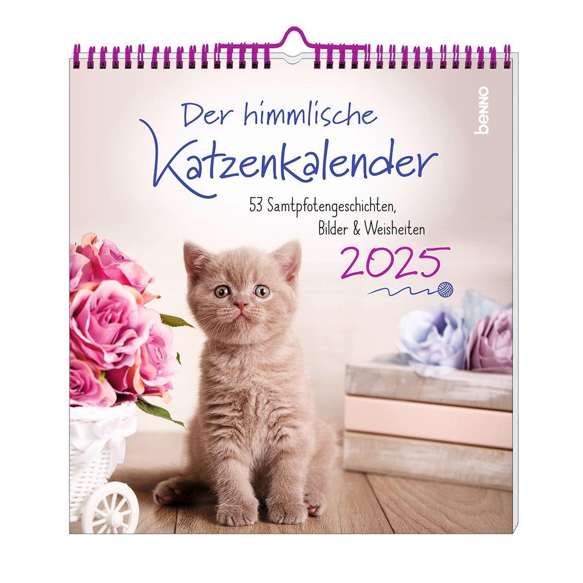 Cover: 9783746264813 | Der himmlische Katzenkalender 2025 | Heike Wendler | Kalender | 2025
