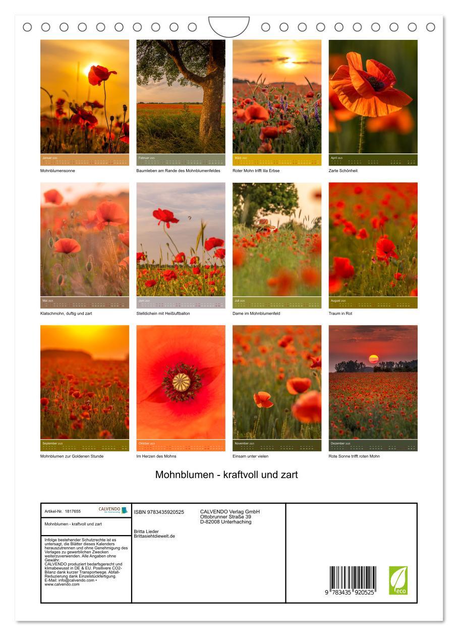 Bild: 9783435920525 | Mohnblumen - kraftvoll und zart (Wandkalender 2025 DIN A4 hoch),...