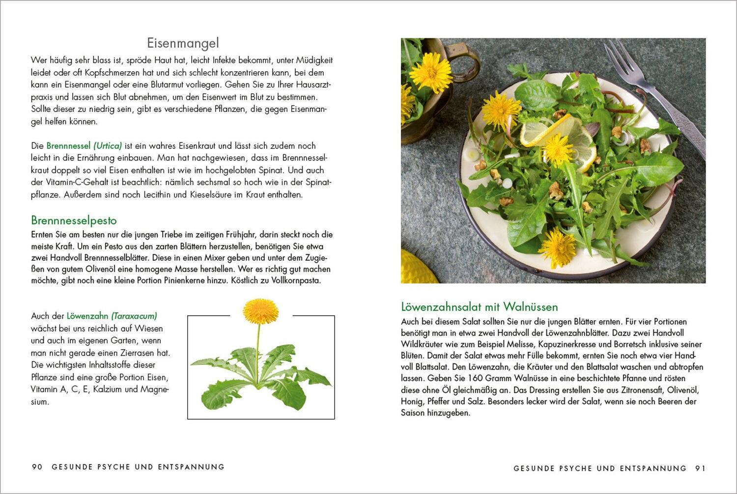 Bild: 9783809443292 | Kräuter und Heilpflanzen für Frauen: Tees, Tinkturen und Salben aus...