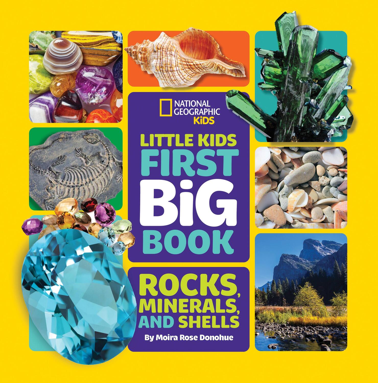 Cover: 9781426372223 | Little Kids First Big Book of Rocks, Minerals &amp; Shells | Moira Donohue