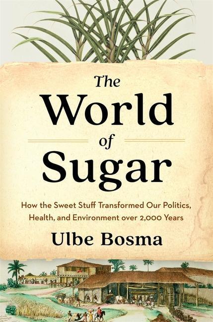 Cover: 9780674279391 | The World of Sugar | Ulbe Bosma | Buch | Englisch | 2023