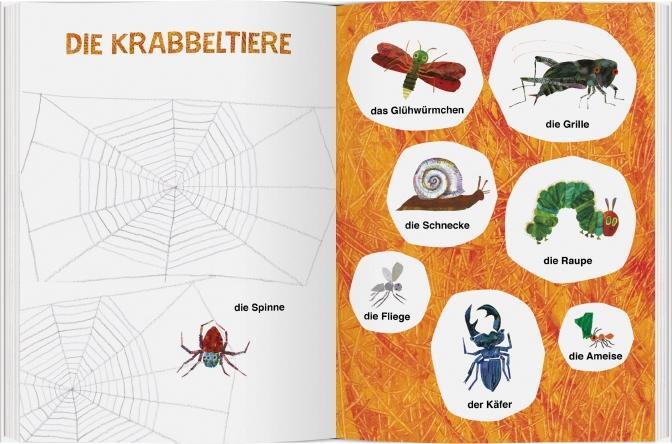 Bild: 9783836956727 | Die kleine Raupe Nimmersatt - Mein großes Bildwörterbuch | Eric Carle