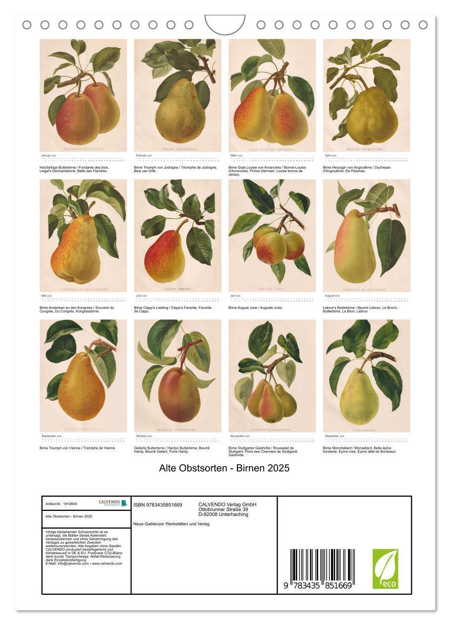 Bild: 9783435851669 | Alte Obstsorten - Birnen 2025 (Wandkalender 2025 DIN A4 hoch),...