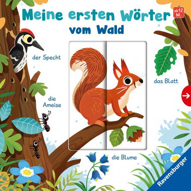 Cover: 9783473417711 | Meine ersten Wörter vom Wald - Sprechen lernen mit großen Schiebern...