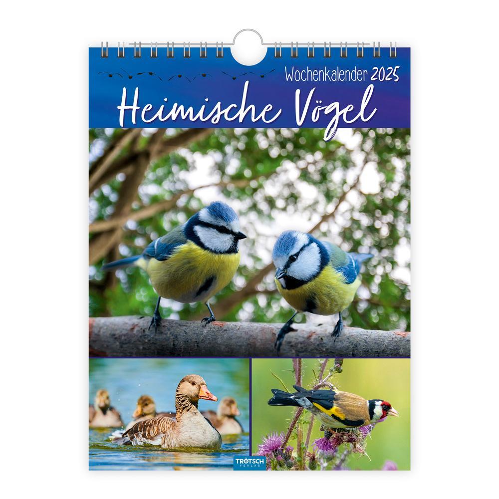 Cover: 9783988022691 | Trötsch Wochenkalender zum Hängen Heimische Vögel 2025 | Wandkalender