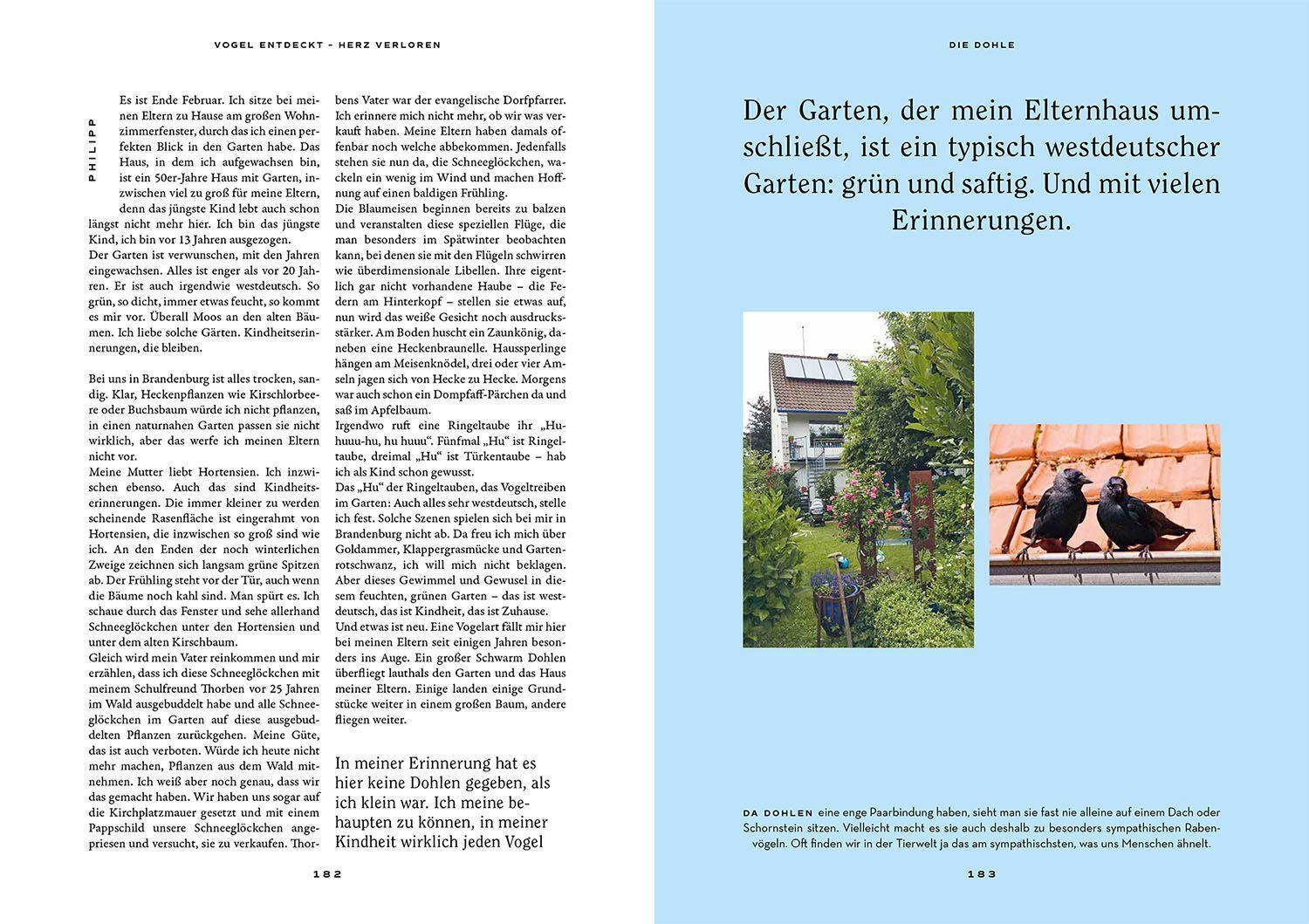 Bild: 9783440173664 | Vogel entdeckt - Herz verloren | Antonia Coenen (u. a.) | Taschenbuch