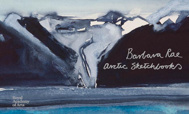 Cover: 9781912520114 | Barbara Rae | Arctic Sketchbooks | Barbara Rae | Buch | Gebunden