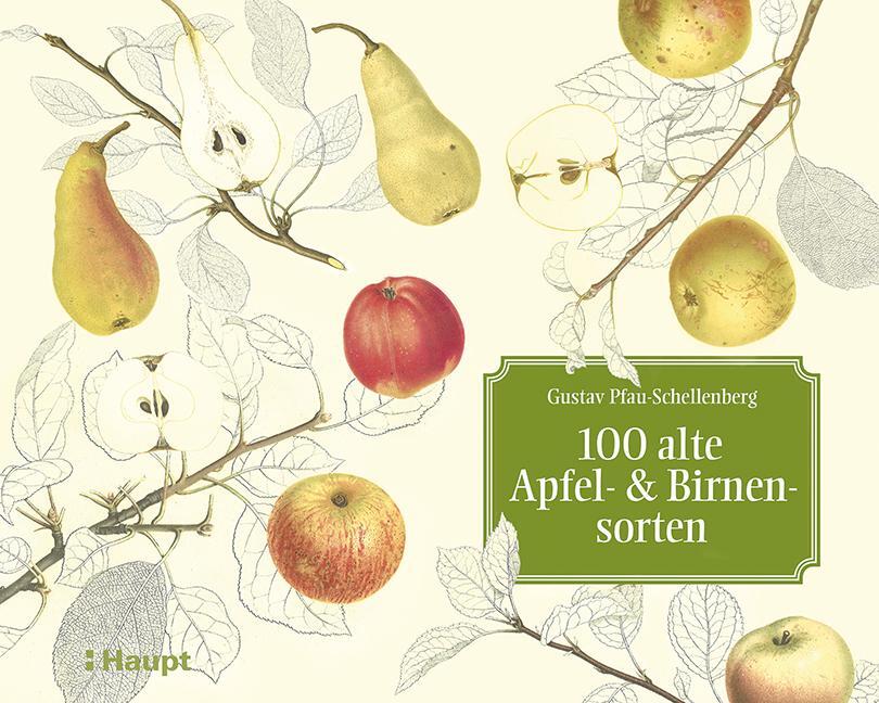 Cover: 9783258080130 | 100 alte Apfel- und Birnensorten | Gustav Pfau-Schellenberg (u. a.)