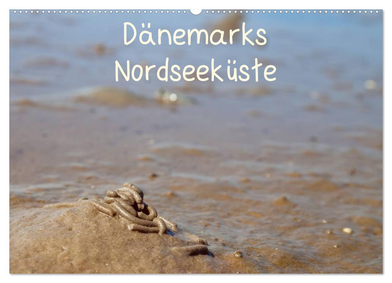 Cover: 9783435767946 | Dänemarks Nordseeküste (Wandkalender 2025 DIN A2 quer), CALVENDO...