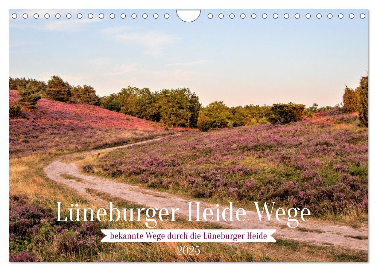 Cover: 9783435030514 | Lüneburger Heide Wege (Wandkalender 2025 DIN A4 quer), CALVENDO...