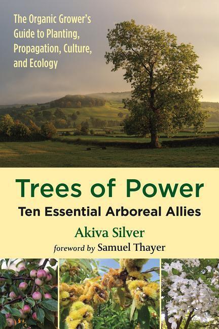 Cover: 9781603588416 | Trees of Power | Ten Essential Arboreal Allies | Akiva Silver | Buch