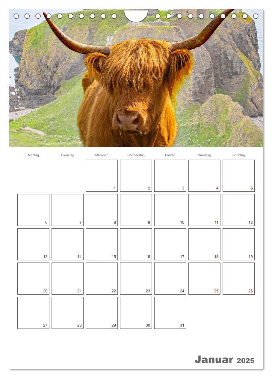 Bild: 9783435898176 | Schottland - Reiseplaner (Wandkalender 2025 DIN A4 hoch), CALVENDO...