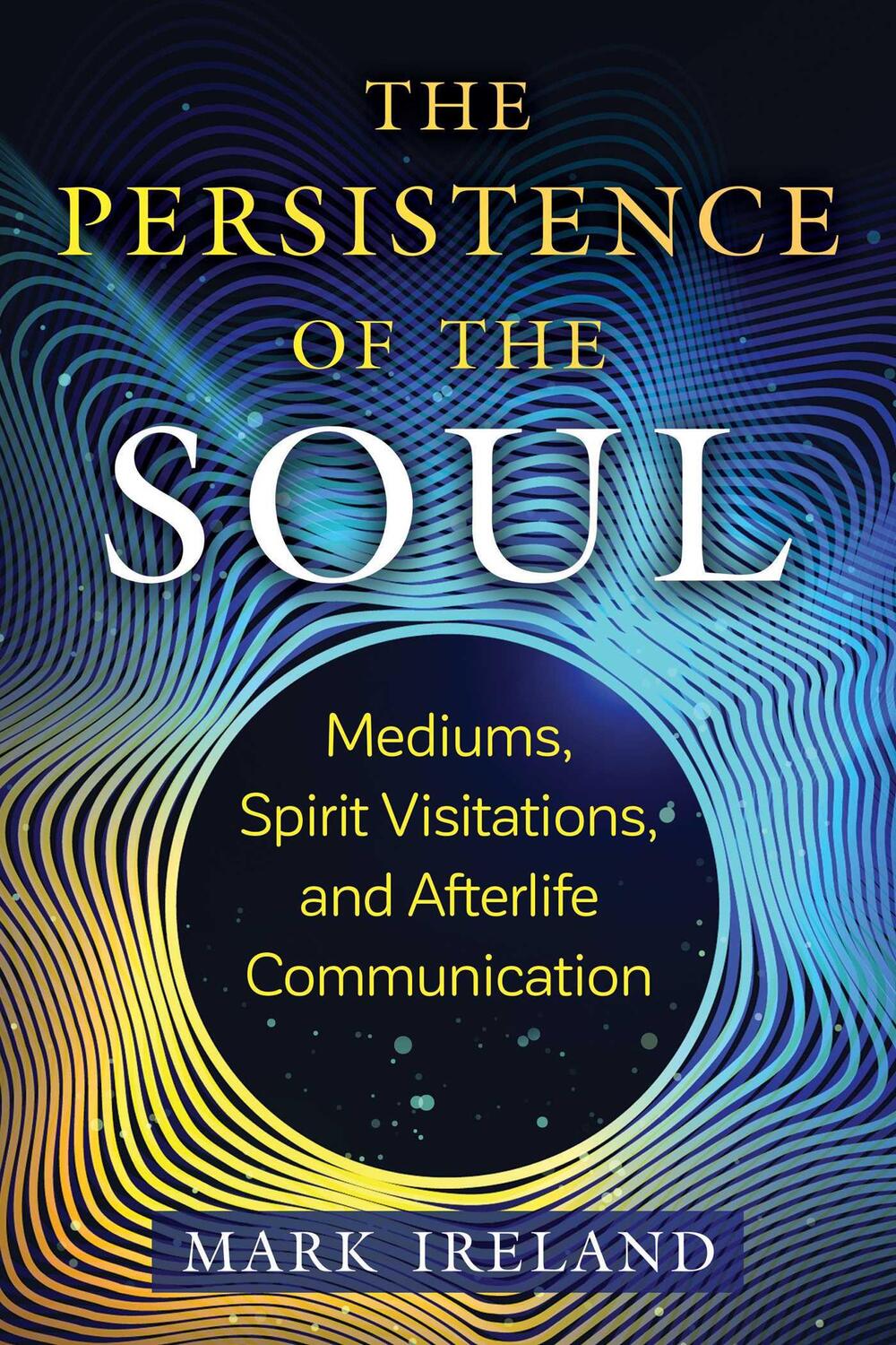Cover: 9781644117187 | The Persistence of the Soul | Mark Ireland | Taschenbuch | 2023