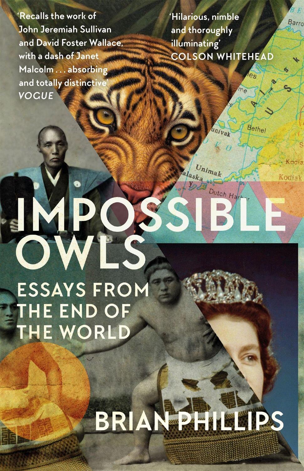 Cover: 9781474607841 | Impossible Owls | Essays from the Ends of the World | Brian Phillips