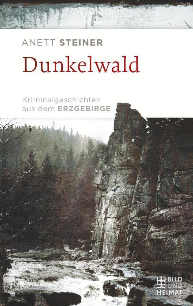 Cover: 9783959581493 | Dunkelwald | Anett Steiner | Taschenbuch | Deutsch | 2018