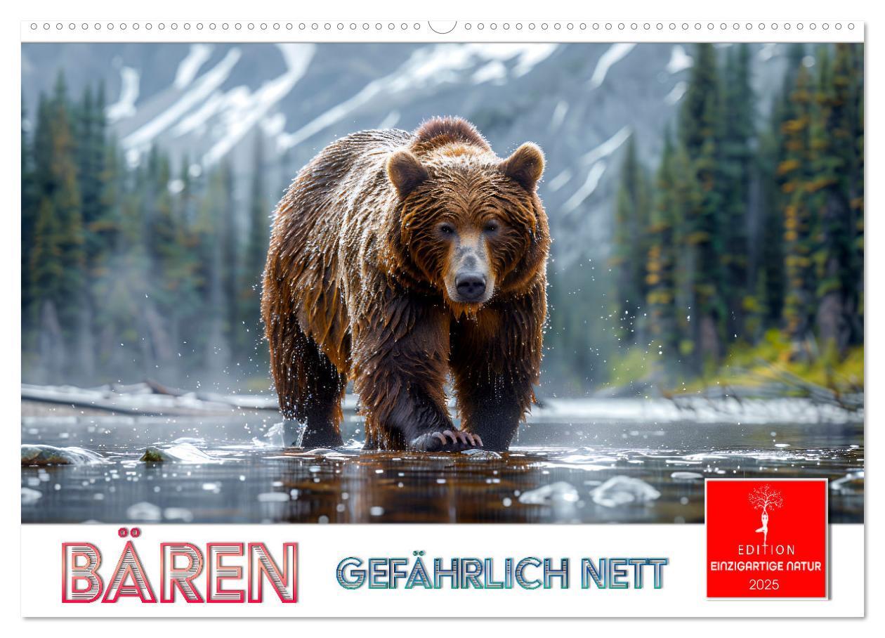 Cover: 9783457170458 | Bären - gefährlich nett (Wandkalender 2025 DIN A2 quer), CALVENDO...