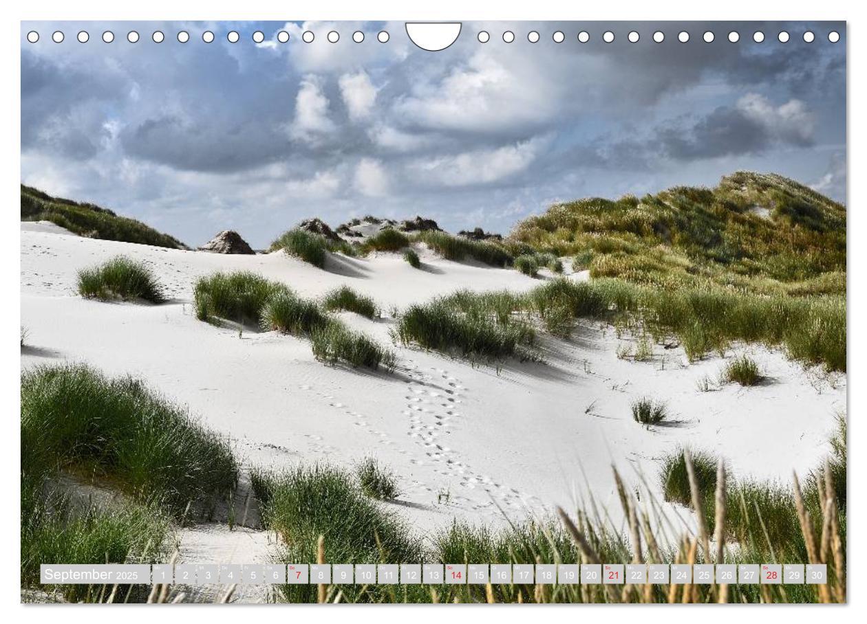 Bild: 9783435715633 | Amrum, die Perle in der Nordsee (Wandkalender 2025 DIN A4 quer),...