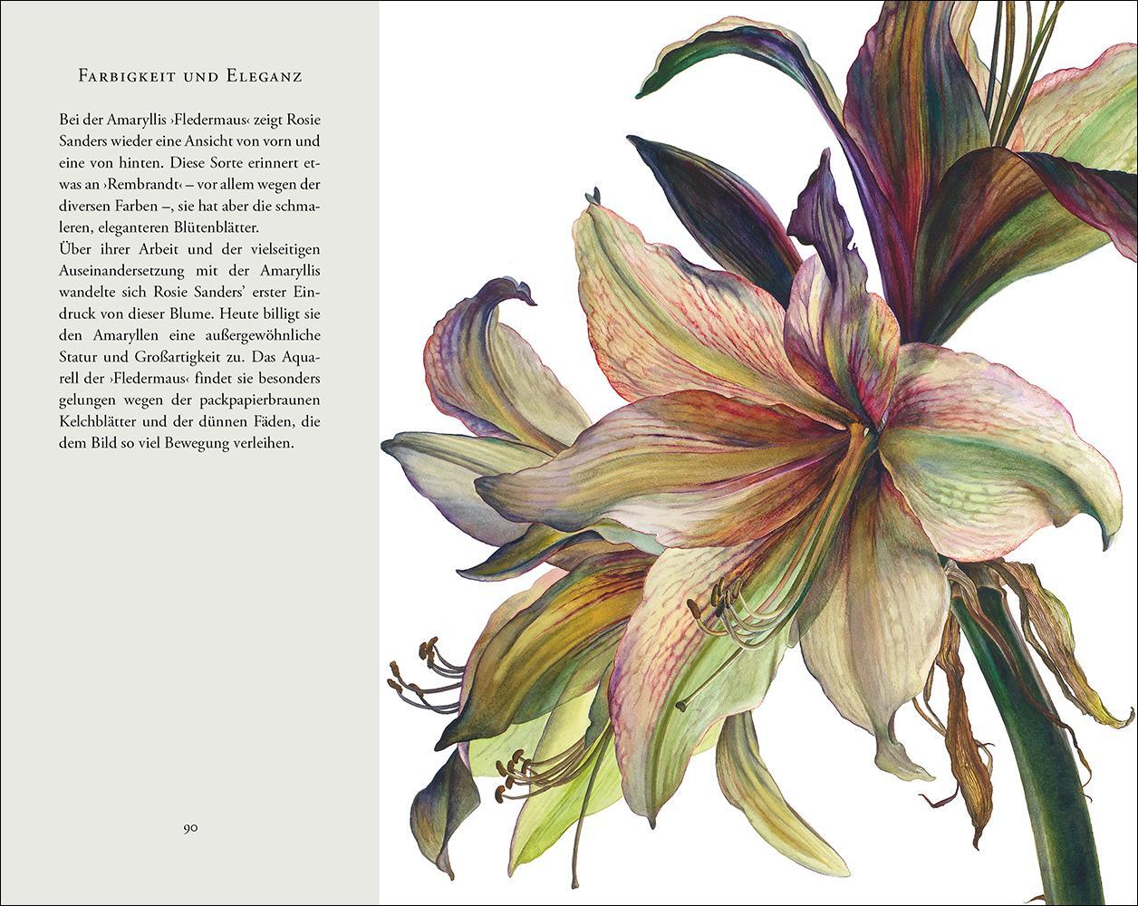 Bild: 9783458200536 | Überwältigende Blüten | Rosie Sanders | Buch | Insel-Bücherei | 107 S.