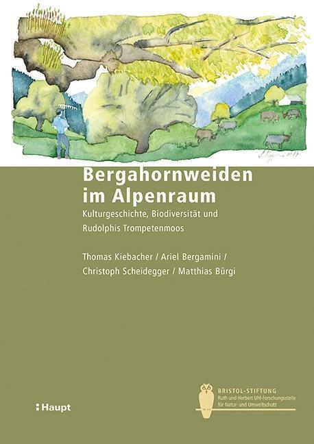 Cover: 9783258080550 | Bergahornweiden im Alpenraum | Kiebacher | Taschenbuch | 235 S. | 2018