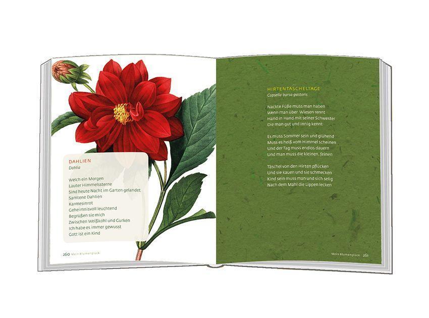 Bild: 9783869179452 | Mein Blumenglück | Gedichte aus meinem Garten | Doris Bewernitz | Buch