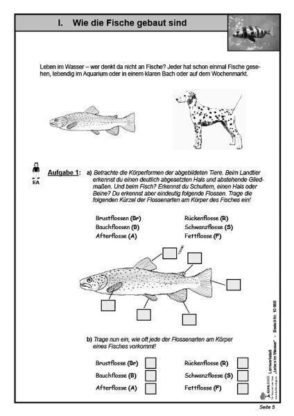 Bild: 9783866326668 | Lernwerkstatt Leben im Wasser | Wolfgang Wertenbroch | Taschenbuch